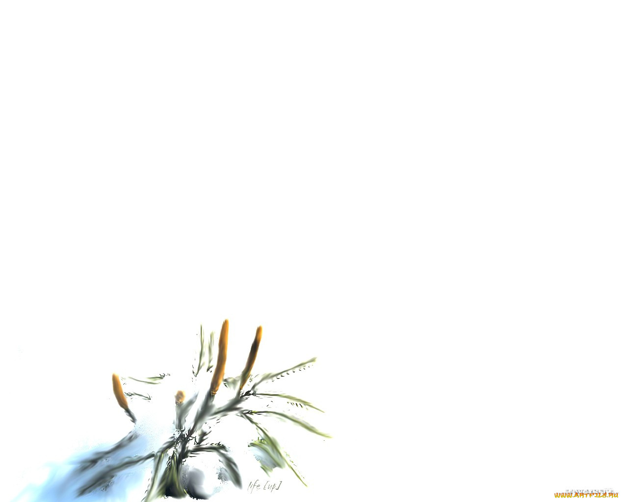 , desktop, decor